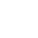 Regulatory Expertise