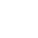Regulatory Expertise
